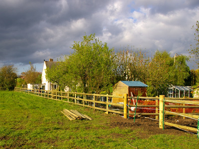 Fencing and paddocks
